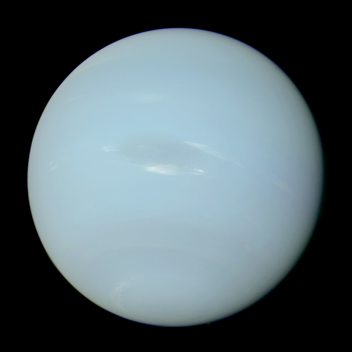 A Neptunusz tisztelete
