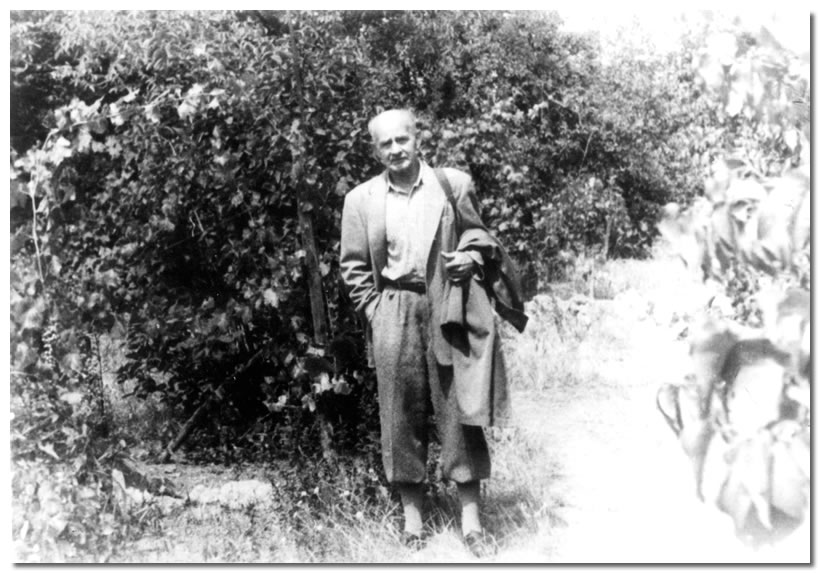 Buji Ferenc: A Hamvas divat